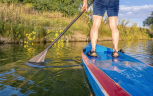 Napa Valley Paddleboarding Where Liquid Serenity Flows Beyond the Vines Paddleboarding napa, Paddleboard rental, sup rent, rent paddleboard napa, paddle board, napa river, downtown napa paddleboard