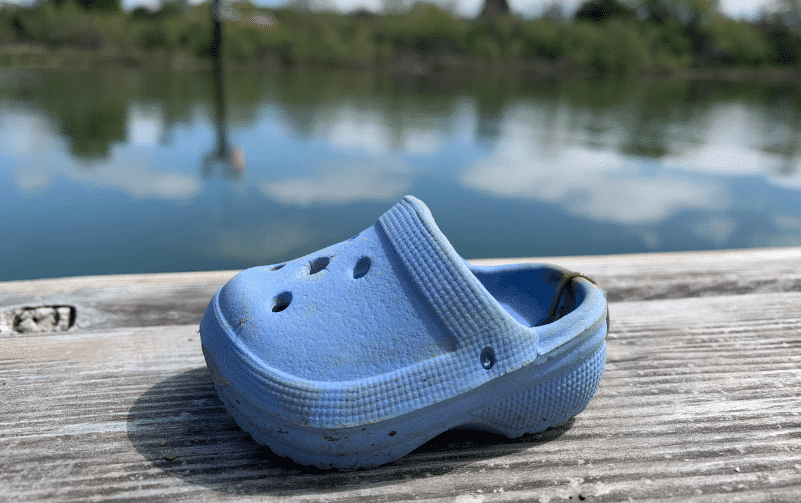 best kayak company, kayak rental near me, kayak near me, croc, wildlife