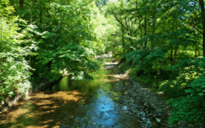Hiking Napa Valley, Hiking Trails Napa, Things to do, outdoors