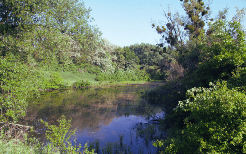 Is The napa river salt water?, about Napa River, River Napa Valley, Napa River fresh Water