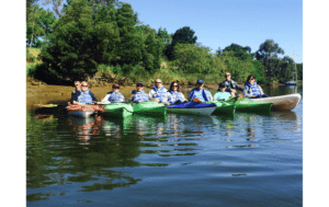 Kayak Napa Valley, Napa Valley kayaking, Justin Napa kayak,Justin, napa’s kayak guy,Kayak rentals Napa, Napa River kayaking tours, Things to do in Napa, Kayak Napa Valley, Paddle Boarding Napa, Napa events Calendar, Napa Valley Events Calendar, Events, Wine tasting & kayaking Napa, Napa Valley tours, Downtown Napa kayaking, San Pablo Bay kayaking, Kayaking tours near San Francisco, Wildlife kayaking Napa, Romantic kayaking Napa, Family kayaking Napa, Eco-friendly kayaking Napa, Kayak rentals downtown Napa, Self-guided kayak tours Napa, Kayak lessons Napa, Kayak & bike rentals Napa, 纳帕谷之旅,船,纳帕,纳帕谷,加州之旅,皮划艇,桨板,纳帕之旅,桨,要做的事情,加利福尼亚州,旧金山,带孩子,葡萄酒, नापा वैली टूर, नाव, नापा, नापा वैली, कैलिफोर्निया टूर, कयाक, पैडलबोर्ड, नापा टूर, पैडल, करने योग्य काम, कैलिफोर्निया, सैन फ्रांसिस्को, बच्चों के साथ, वाइन, ナパバレーツアー、ボート、ナパ、ナパバレー、カリフォルニアツアー、カヤック、パドルボード、ナパツアー、パドル、アクティビティ、カリフォルニア、サンフランシスコ、子供たちと、ワイン, 나파 밸리 투어, 보트, 나파, 나파 밸리, 캘리포니아 투어, 카약, 패들보드, 나파 투어, 패들, 즐길 거리, 캘리포니아, 샌프란시스코, 어린이와 함께, 와인, Tour du lịch thung lũng Napa, Thuyền, Napa, thung lũng Napa, California Tour, Kayak, Chèo thuyền, tour Napa, Chèo thuyền, Những điều cần làm, California, San Francisco, Với trẻ em, Rượu vang, నాపా వ్యాలీ టూర్, బోట్, నాపా, నాపా వ్యాలీ, కాలిఫోర్నియా టూర్, కయాక్, పాడిల్బోర్డ్, నాపా టూర్, తెడ్డు, చేయవలసిన పనులు, కాలిఫోర్నియా, శాన్ ఫ్రాన్సిస్కో, పిల్లలతో, వైన్,ਨਾਪਾ ਵੈਲੀ ਟੂਰ, ਬੋਟ, ਨਾਪਾ, ਨਾਪਾ ਵੈਲੀ, ਕੈਲੀਫੋਰਨੀਆ ਟੂਰ, ਕਯਾਕ, ਪੈਡਲਬੋਰਡ, ਨਾਪਾ ਟੂਰ, ਪੈਡਲ, ਕਰਨ ਦੀਆਂ ਚੀਜ਼ਾਂ, ਕੈਲੀਫੋਰਨੀਆ, ਸੈਨ ਫਰਾਂਸਿਸਕੋ, ਬੱਚਿਆਂ ਨਾਲ, ਵਾਈਨ, Tour por el valle de Napa, Barco, Napa, Valle de Napa, Tour por California, Kayak, Paddleboard, Tour por Napa, Paddle, Cosas que hacer, California, San Francisco, Con niños, Vino,