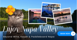 napa kayak, napa paddle board, napa valley , paddle, Justin