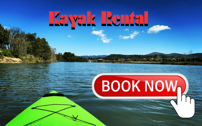 kayak rental, kayak rental near me, Napa kayak rental, kayaking, napa river kayaking, downtown napa kayak rental, napa valley, unique things to do, stuff to do in napa, kayak rental, kayak rentals