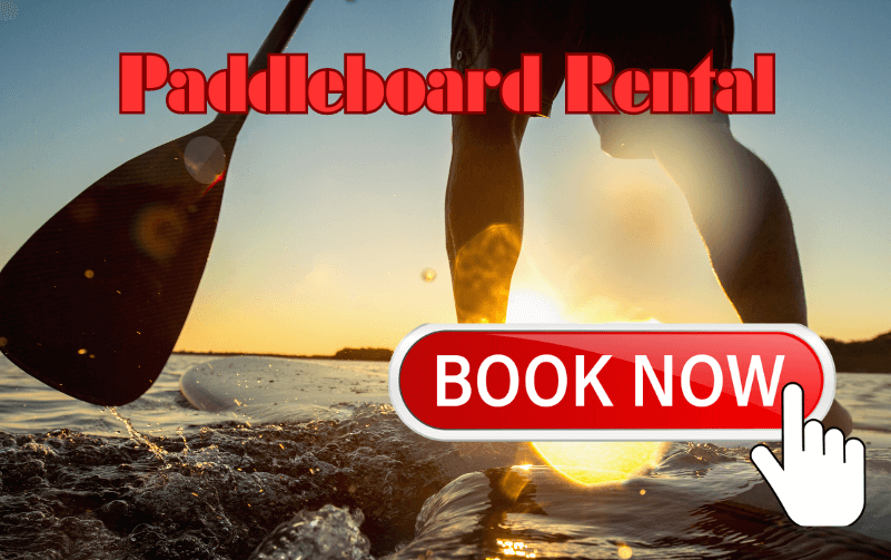 paddle board rental near me, paddle board rental, paddleboard rental near me, napa paddleboard rental, sup rental. napa paddle board rental, napa valley paddleboard rental, sup rental, sup rental near me, things to do Napa