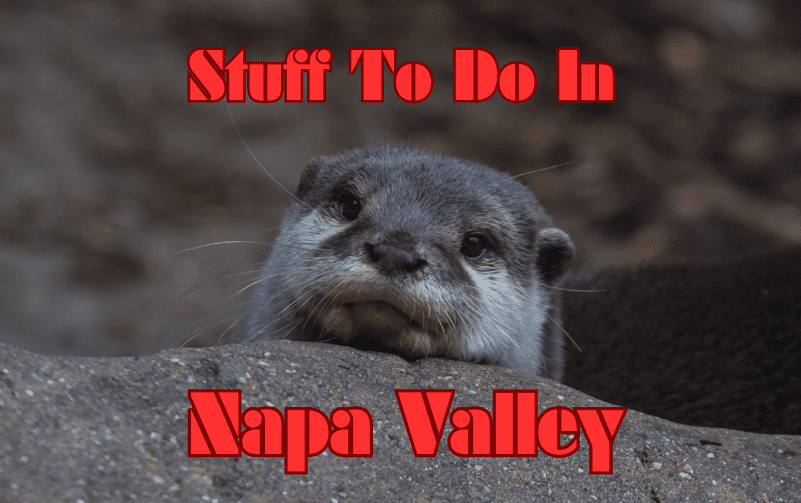 In napa, what to do in napa, things to do in napa, stuff to do in napa, napa events, napa nightlife, napa live music, napa dj, Napa dancing