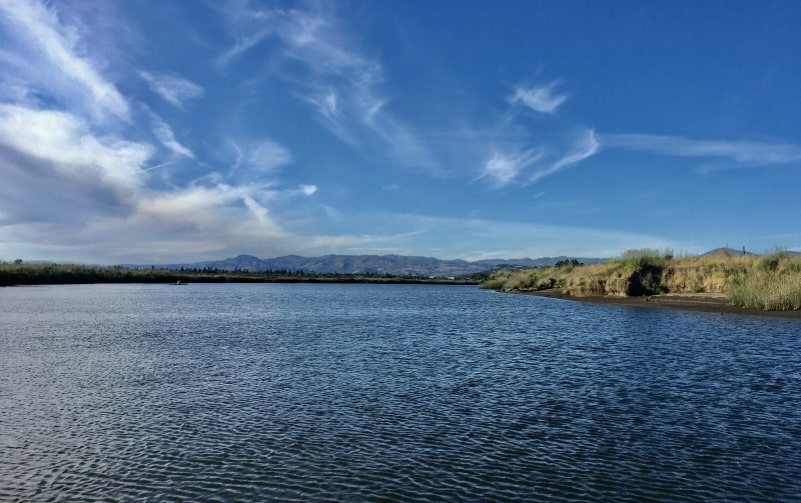 is the Napa River Salt water, Is Napa River brackish, is Napa River Fresh water, about Napa River, what is Napa River, Where Napa River, Headwaters, Napa River Flow