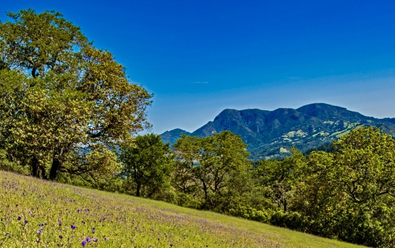 Mount Saint Helena, Headwaters for Napa River, Orgin Napa River, Kimball Canyon