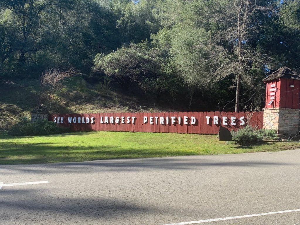 Things to do Family with Kids Napa