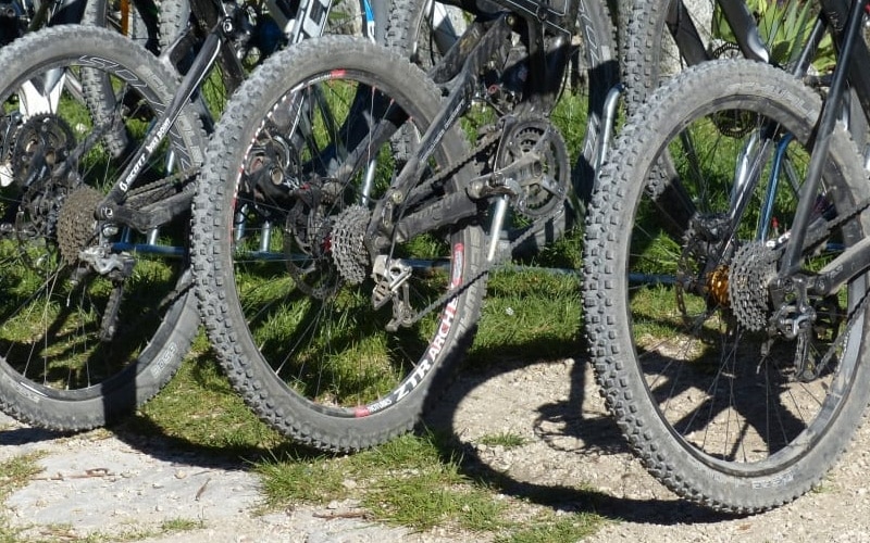 Bike Rental Bike Rental